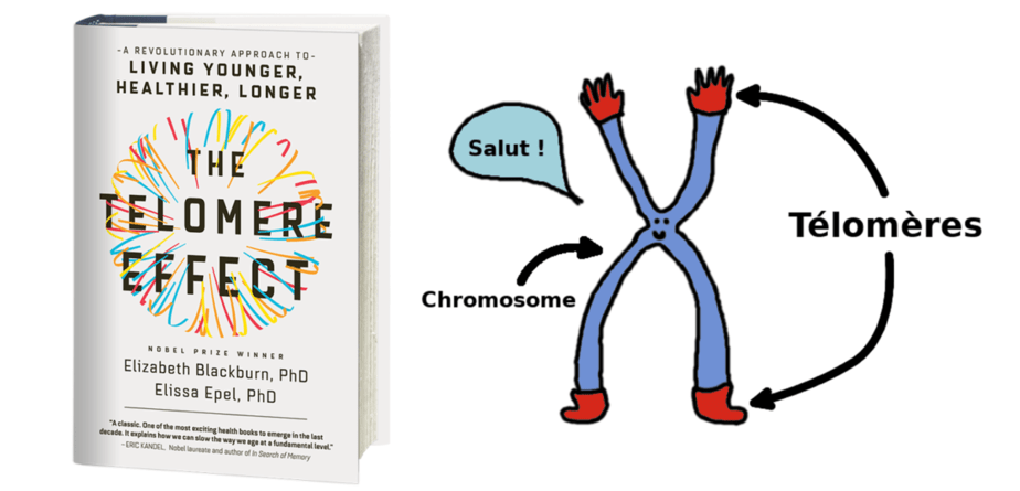 The telomere effect - book